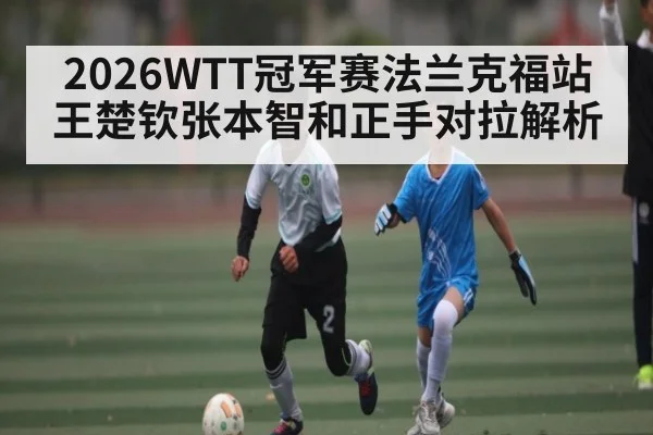 2026WTT冠军赛法兰克福站王楚钦张本智和正手对拉解析